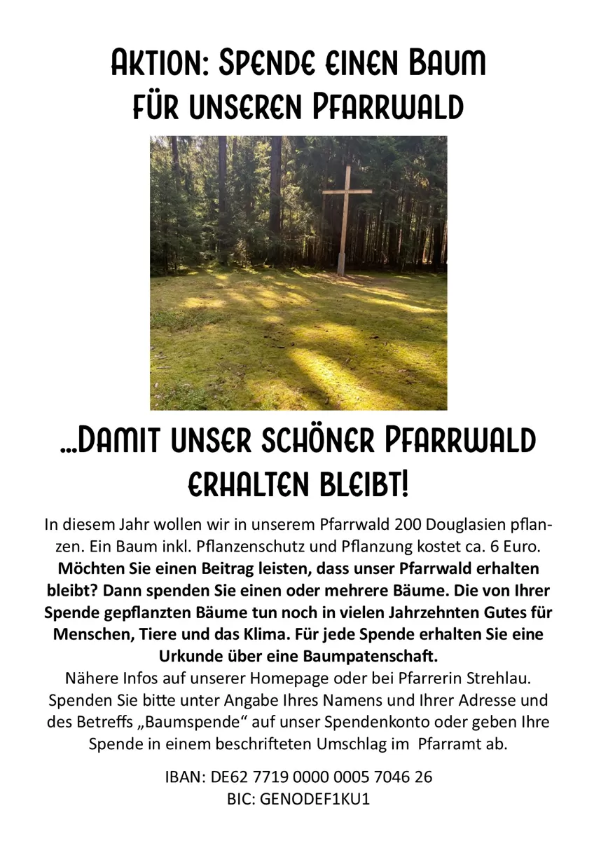 Aufruf zur Baumspende für den Pfarrwald